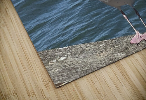 Little Birdie at Fishermans Wharf - San Francisco - 4 mouserack puzzle