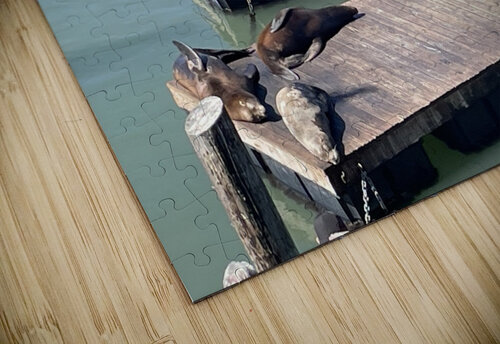 The Sea Lions at Fishermans Wharf - San Francisco mouserack puzzle