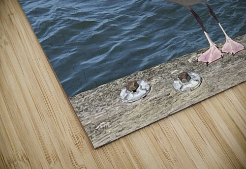 Little Birdie at Fishermans Wharf - San Francisco - 1 mouserack puzzle