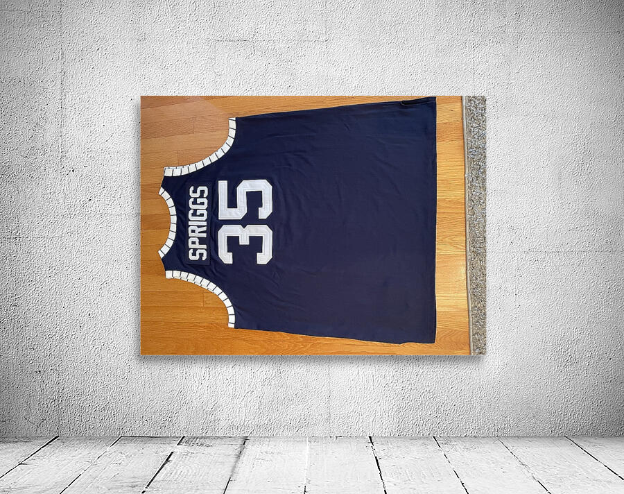 Larry Spriggs - Howard Bison 1 Wall Preview