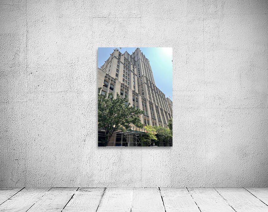 Madison Park -  New York 3 Wall Preview