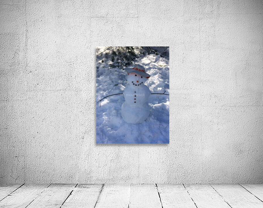 Mr. Snowman Wall Preview