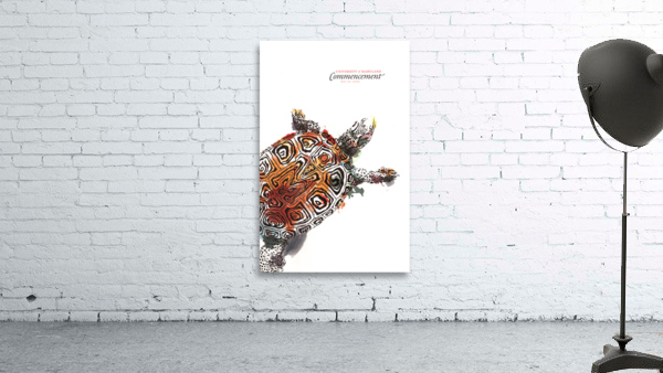 University of Maryland Commencement 2020 Wall Preview