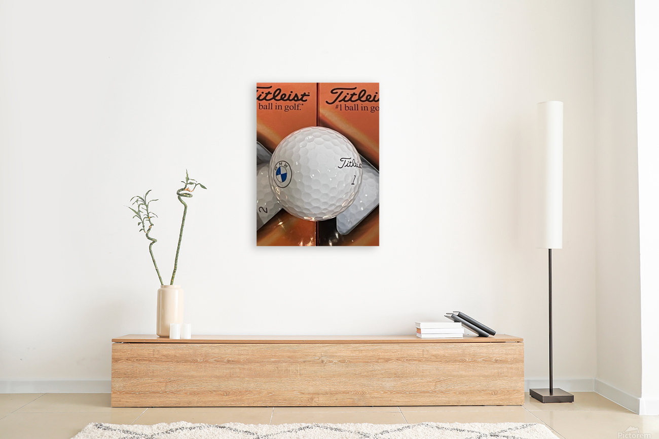 BMW PRO V1 - Front Reproduction