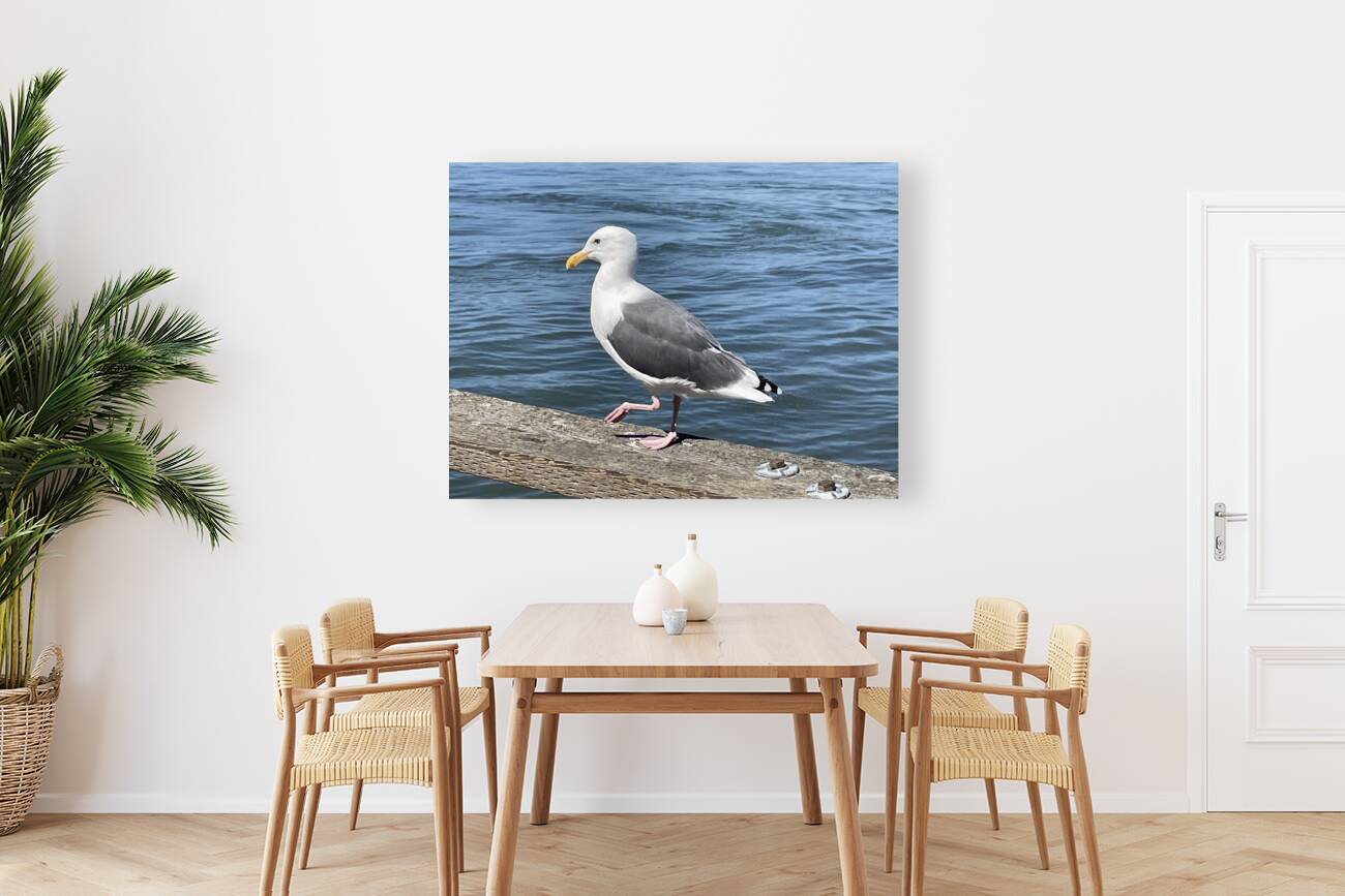 Little Birdie at Fishermans Wharf - San Francisco - 3 Reproduction