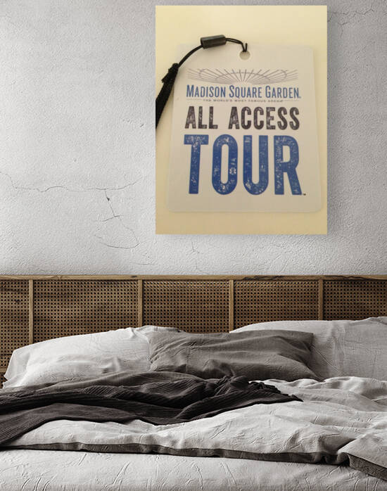 MSG Tour by mouserack