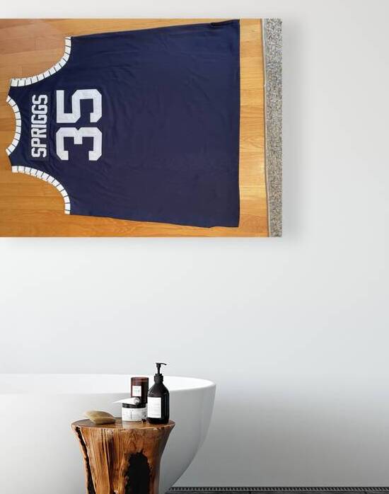 Larry Spriggs - Howard Bison 1 by mouserack