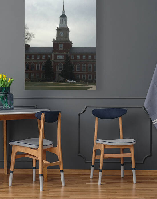 Howard University Founders Library by mouserack