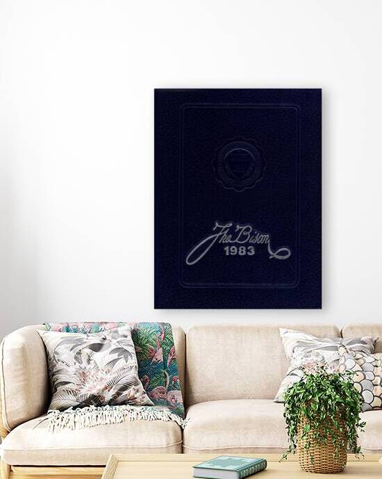 The Bison 1983 by mouserack