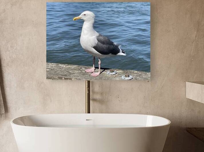 Little Birdie at Fishermans Wharf - San Francisco - 6 by mouserack