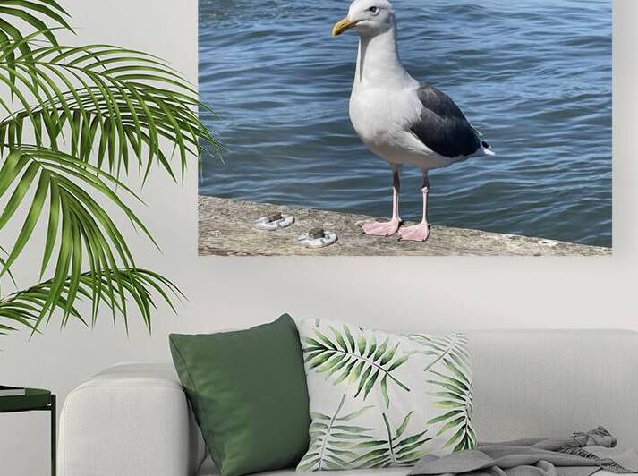 Little Birdie at Fishermans Wharf - San Francisco - 2 by mouserack