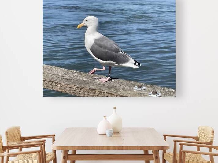 Little Birdie at Fishermans Wharf - San Francisco - 3 by mouserack