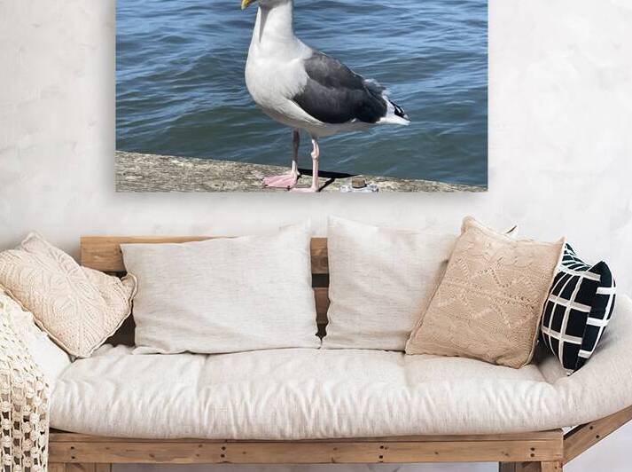 Little Birdie at Fishermans Wharf - San Francisco - 5 by mouserack