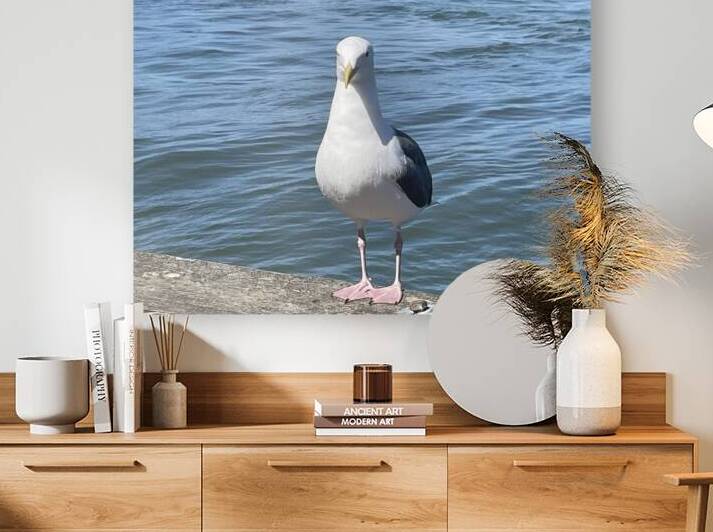 Little Birdie at Fishermans Wharf - San Francisco - 4 by mouserack