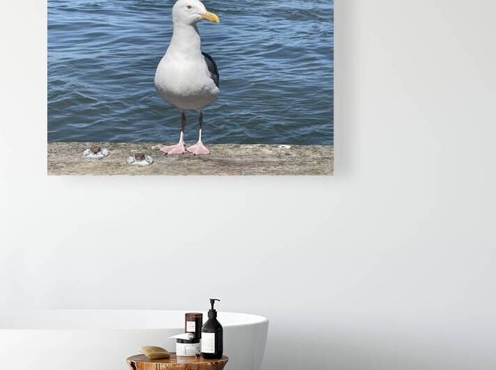 Little Birdie at Fishermans Wharf - San Francisco - 1 by mouserack