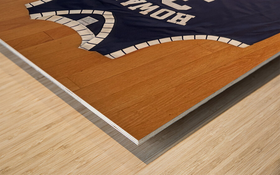 Larry Spriggs - Howard Bison II Wood print