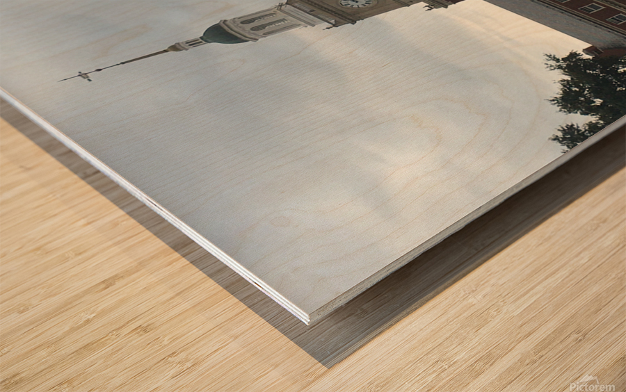 Howard University Founders Libray - Homecoming 2019 Wood print