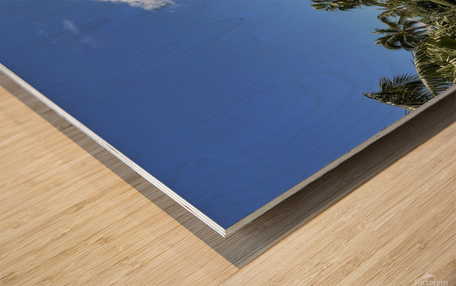 Bahamas Resort During The Day Wood print