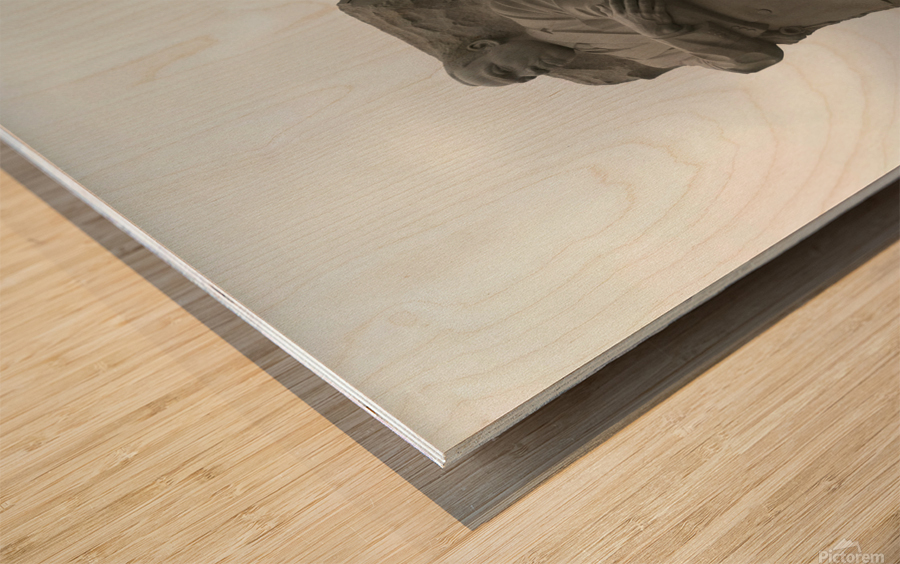 Dr. Martin Luther KIng Jr Memorial 1 Wood print