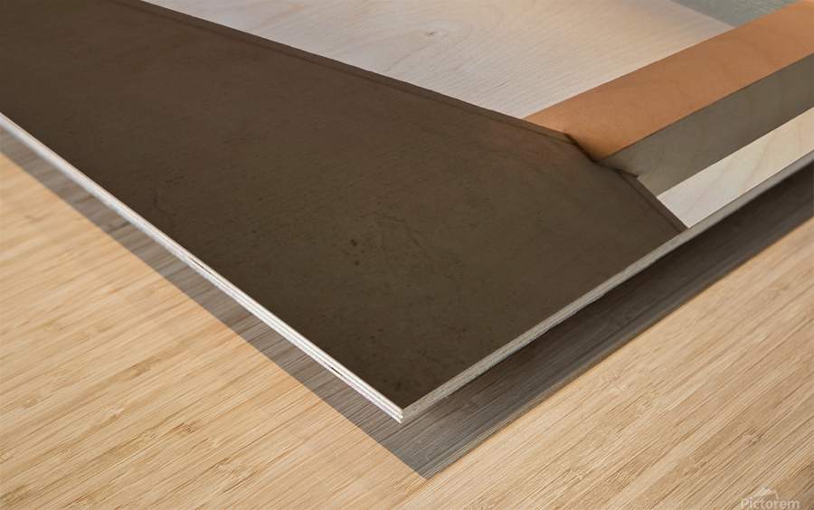 Myrtle Beach from The Balcony Wood print