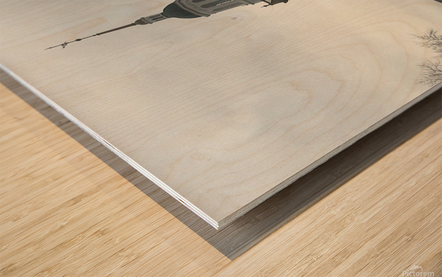 Howard University Founders Library Wood print