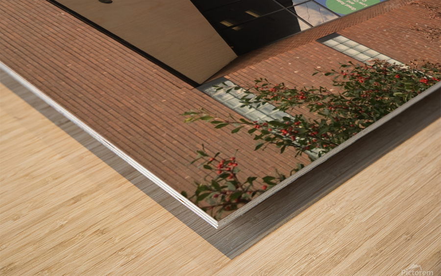 Howard University School of Business Wood print