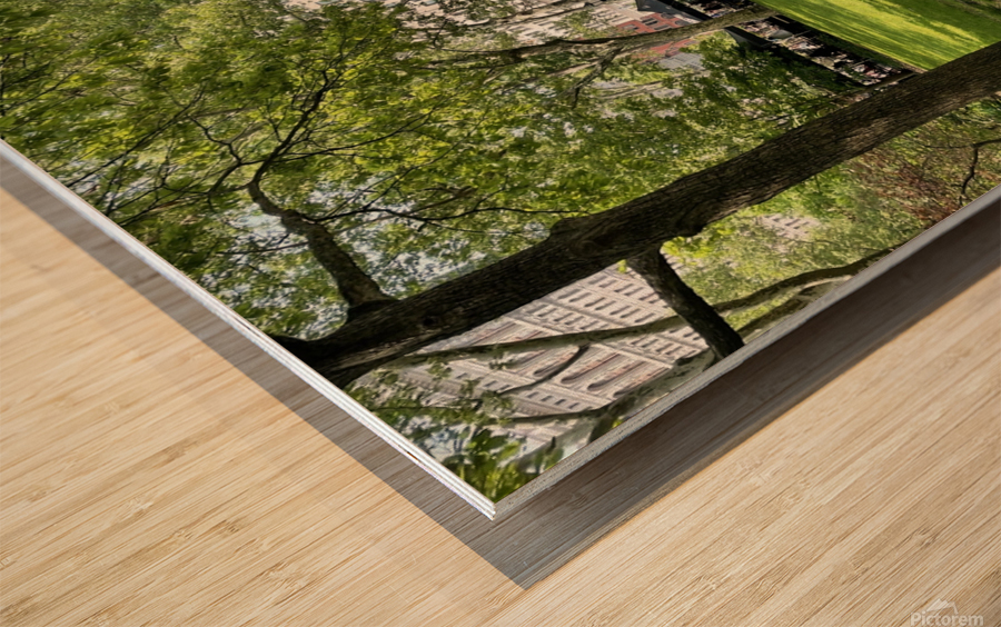 Madison Park -  New York 2 Wood print