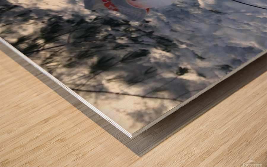 Mr. Snowman Wood print