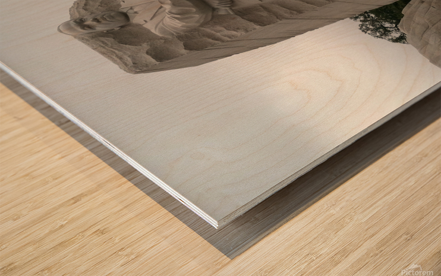 Dr. Martin Luther KIng Jr Memorial 2 Wood print