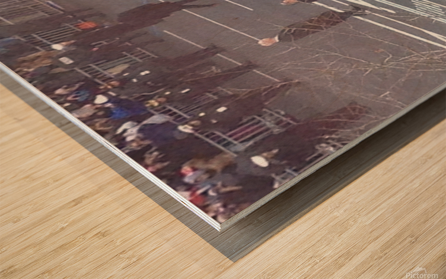 Barack & Michelle Obama Inaguration Walk 2013 - 4 Wood print