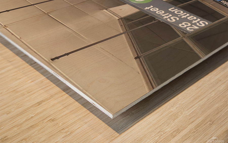 28th Street Station in NYC Wood print