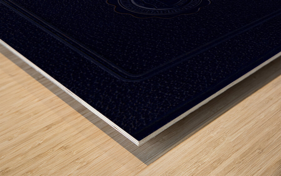 The Bison 1983 Wood print