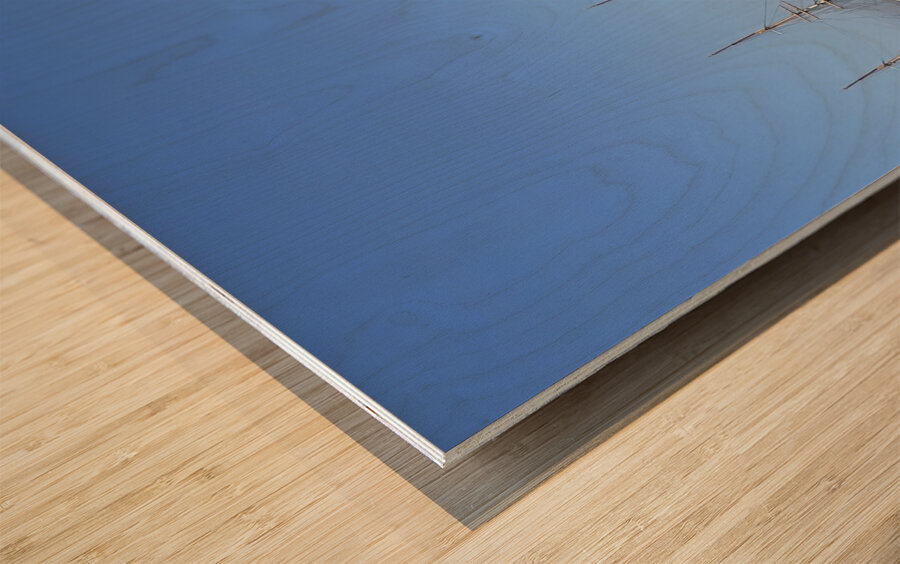 Maritime Boats on San Francisco Bay - 2 Wood print