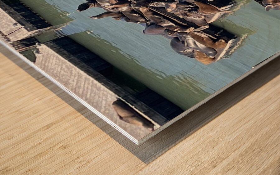 The Sea Lions at Fishermans Wharf - San Francisco Wood print
